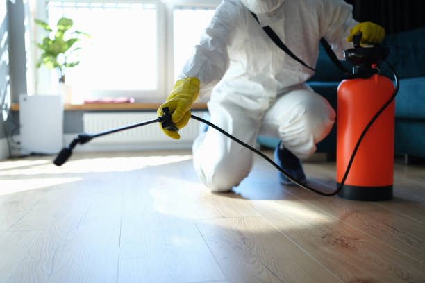 Reliable Odor Removal contractor in Strasburg, VA by Dulley Family Biohazard Services